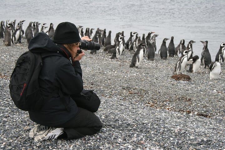 Full-Day Martillo Island Penguin Tour from Ushuaia photo 5