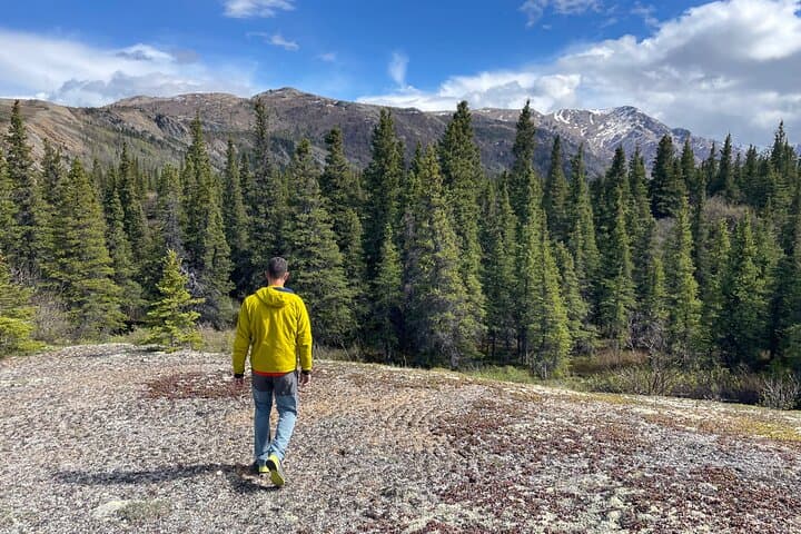 Denali Off-Trail Hiking: Foraging, Wildlife & Boreal Forest Walk with a Naturalist photo 4