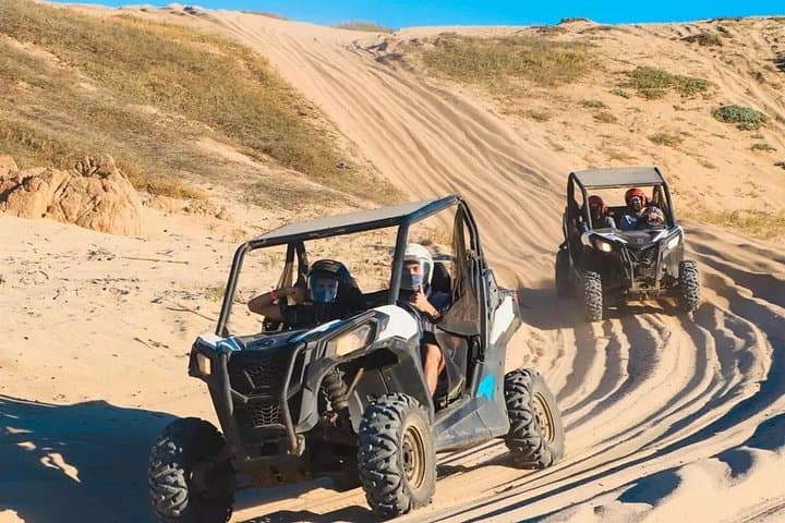 Migrino Desert & Beach Off‑Road Tour — Baja 1000 Trails, RZRs & Winter Whale Watching photo 3