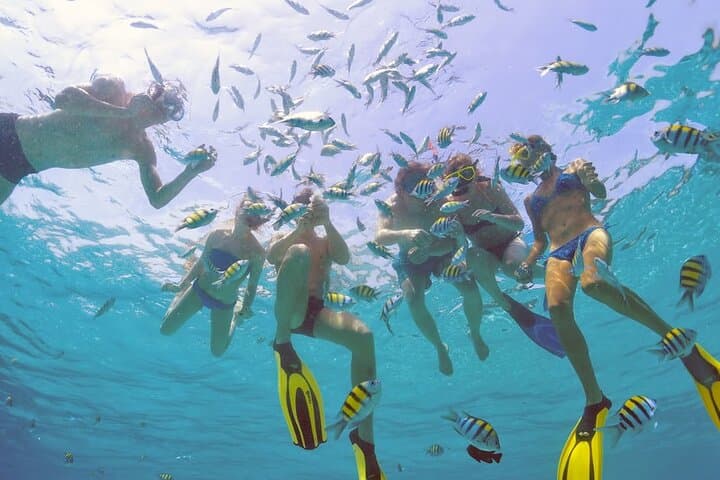 Sosua-to-Puerto-Plata Catamaran: 3-Spot Snorkel, Lunch & Drinks photo 2