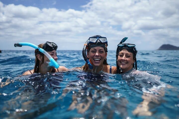 Cabarete Party Catamaran & Snorkeling — Half-Day Sail, Reefs & Drinks photo 6