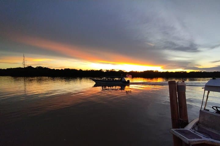 Kampung Kuantan Firefly Boat Tour with Dinner — Night Safari from Kuala Lumpur photo 1