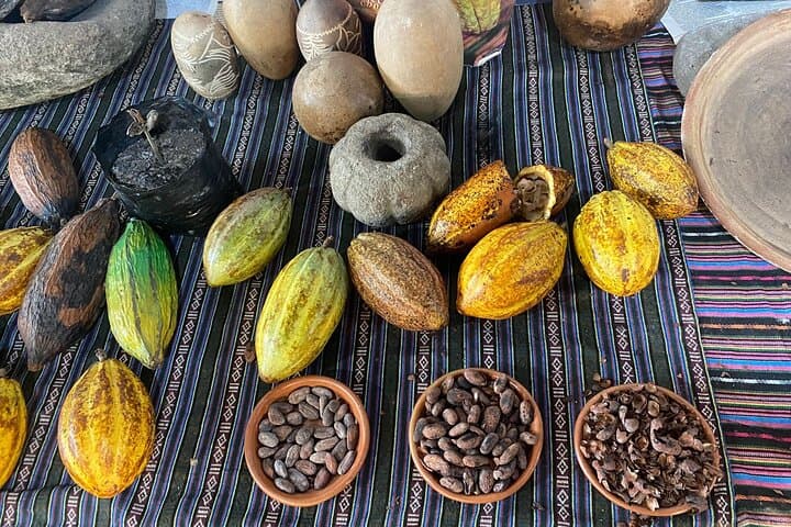 Coffee & Gastronomic Bike Tour in Antigua: Ride Through Plantations and Markets photo 2