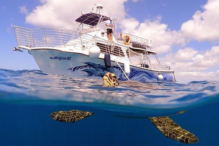 Waikiki Turtle Canyon Snorkel Cruise with Hula Show