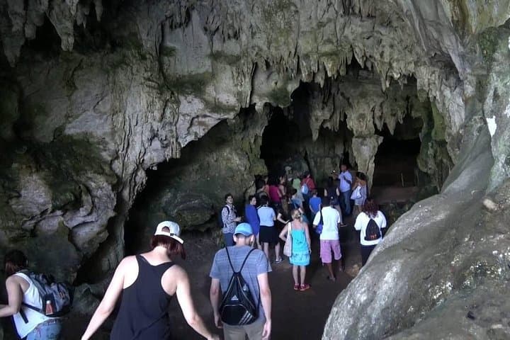 10-Hour Los Haitises & Bacardí Island Tour — Mangroves, Caves, Beach Lunch photo 4
