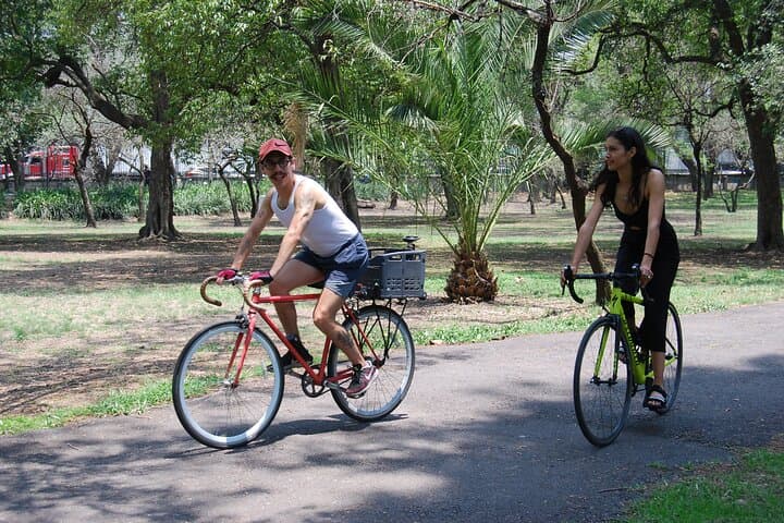 Chapultepec Forest Bike Tour: 3-Hour Cultural & Nature Ride Through Ahuehuetes and Lakes