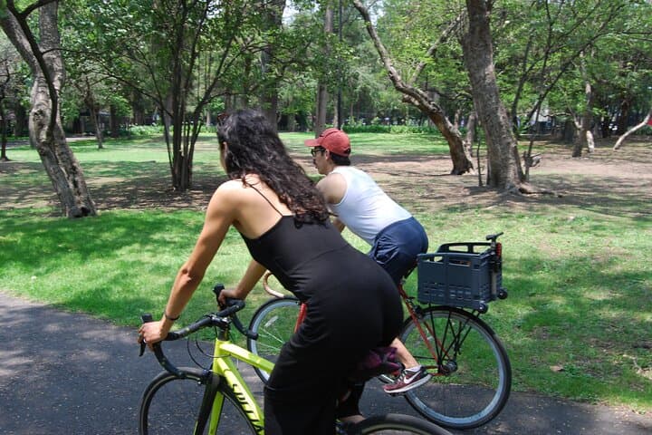Chapultepec Forest Bike Tour: 3-Hour Cultural & Nature Ride Through Ahuehuetes and Lakes photo 2
