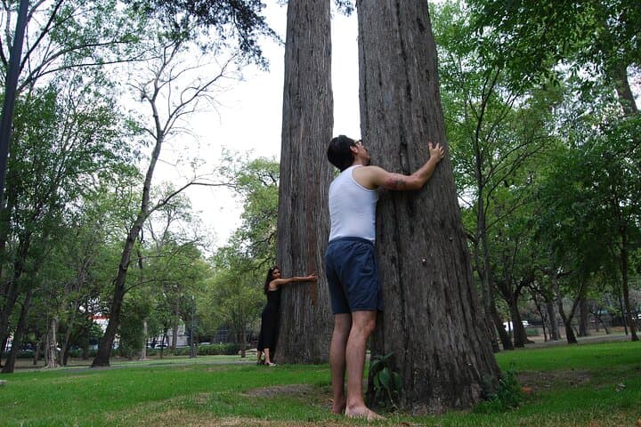 Chapultepec Forest Bike Tour: 3-Hour Cultural & Nature Ride Through Ahuehuetes and Lakes photo 4