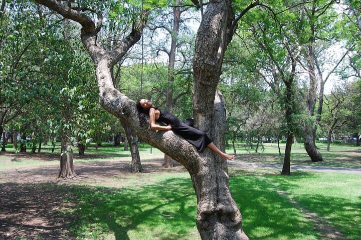Chapultepec Forest Bike Tour: 3-Hour Cultural & Nature Ride Through Ahuehuetes and Lakes photo 5
