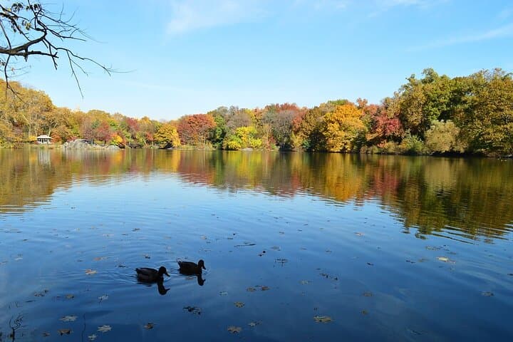 central-park-experience-scenic-historical-walking-tour-from-59-to-81-streets photo 2