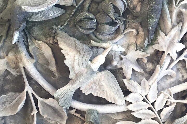central-park-experience-scenic-historical-walking-tour-from-59-to-81-streets photo 6