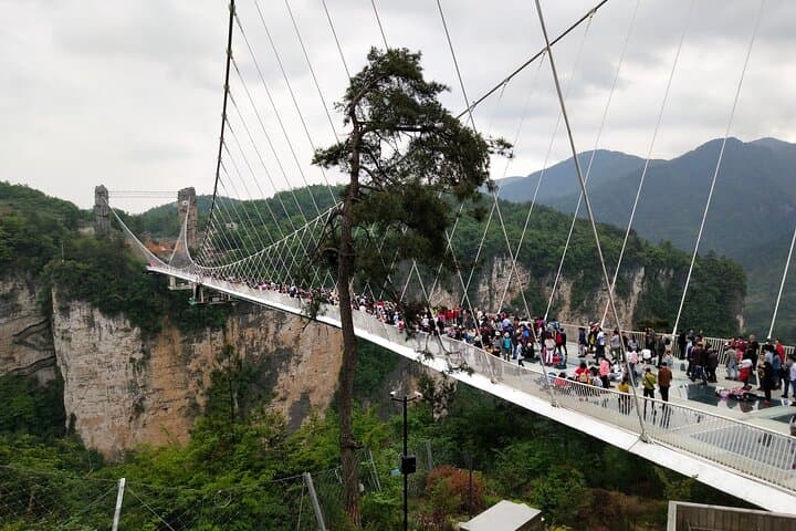 Walk the Clouds: Zhangjiajie Glass Bridge & Yellow Dragon Cave Day Tour photo 5