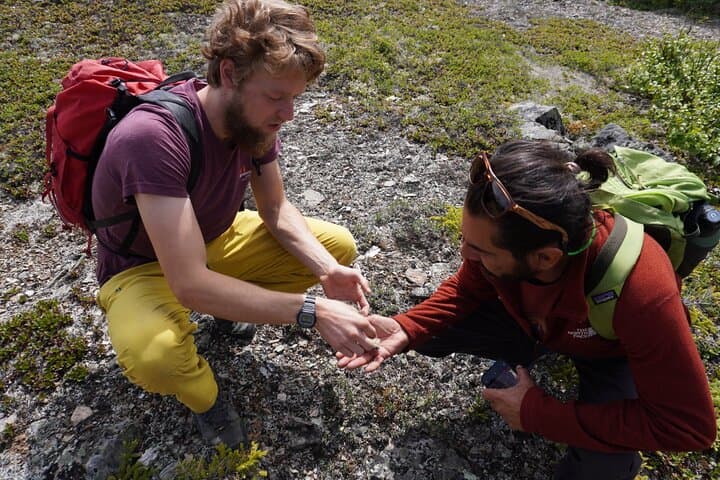 Denali Off-Trail Hiking: Foraging, Wildlife & Boreal Forest Walk with a Naturalist photo 2