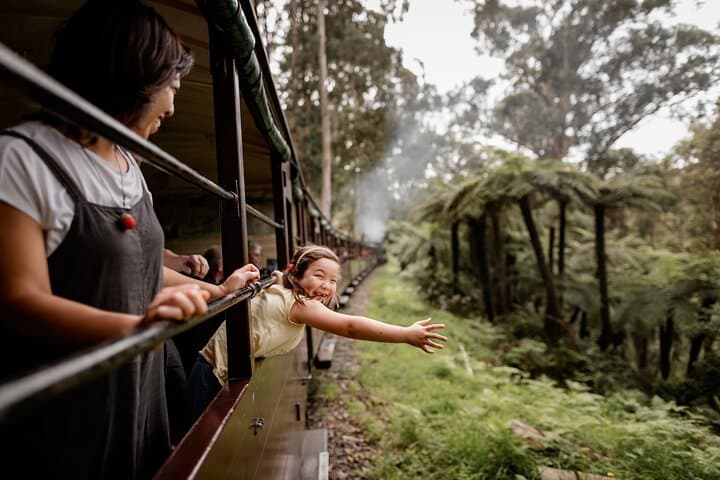 Discover Melbourne: Puffing Billy and Penguin Parade Adventure