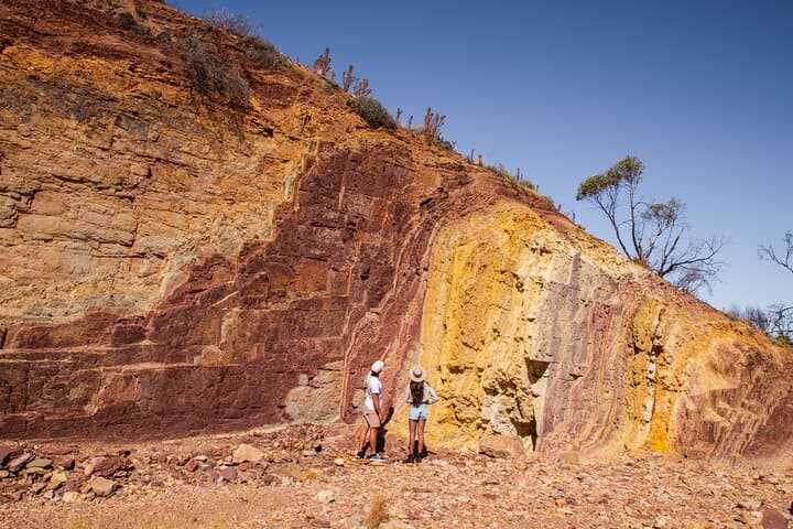 4-Day Red Centre: Uluru, Kings Canyon & West MacDonnell Adventure from Alice Springs photo 5