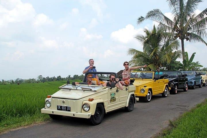 VW Safari Bali Tour: Explore Bali's UNESCO Sites by Classic Convertible photo 3