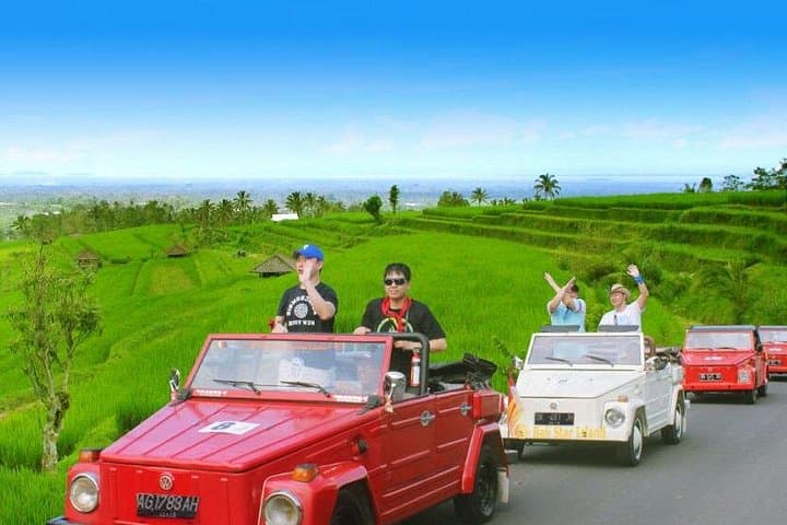 VW Safari Bali Tour: Explore Bali's UNESCO Sites by Classic Convertible photo 5