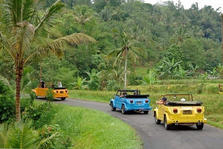 VW Safari Bali Tour: Explore Bali's UNESCO Sites by Classic Convertible photo 6