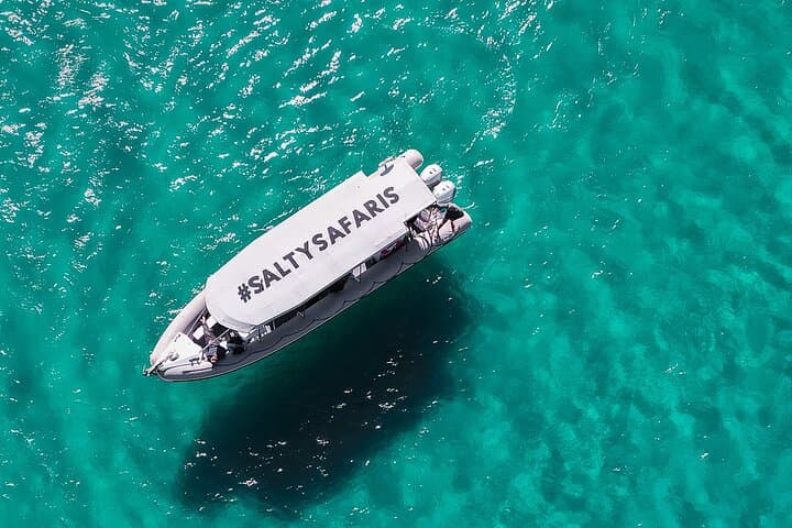Hervey Bay Half-Day Whale Watching & Island Stop Tour in Platypus Bay photo 4