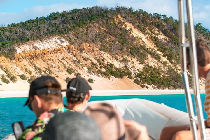 Hervey Bay Half-Day Whale Watching & Island Stop Tour in Platypus Bay photo 5