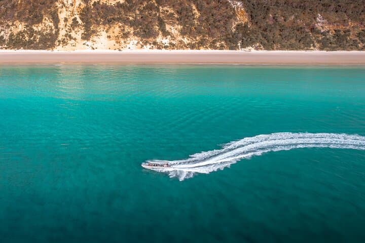 Hervey Bay Half-Day Whale Watching & Island Stop Tour in Platypus Bay photo 6