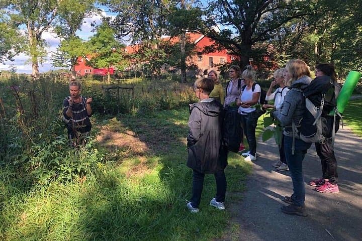 Scandinavian Herb Walk: Foraging, Tea & Folk Remedies Near Stockholm photo 2