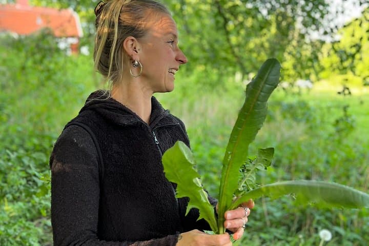 Scandinavian Herb Walk: Foraging, Tea & Folk Remedies Near Stockholm photo 3