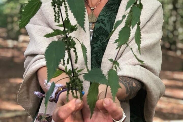 Scandinavian Herb Walk: Foraging, Tea & Folk Remedies Near Stockholm photo 4