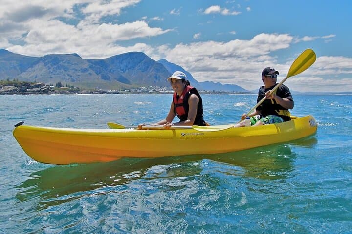 Paddle Hout Bay: Guided Kayak Tour from Cape Town with Seal Encounters