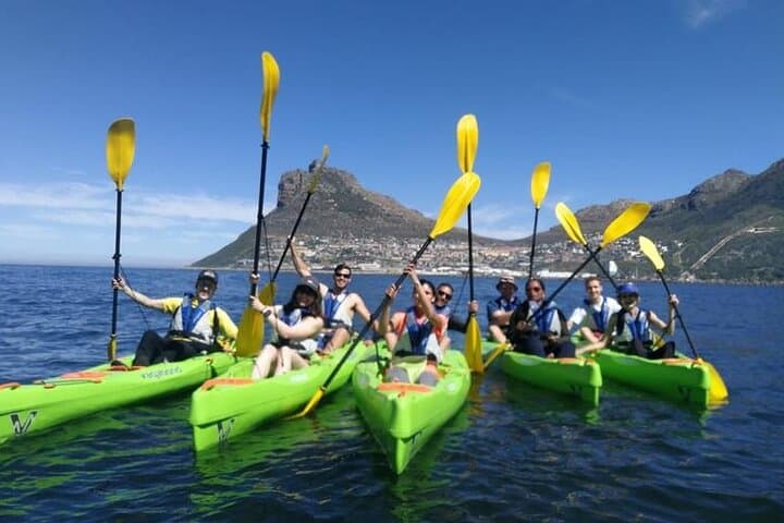 Paddle Hout Bay: Guided Kayak Tour from Cape Town with Seal Encounters photo 2
