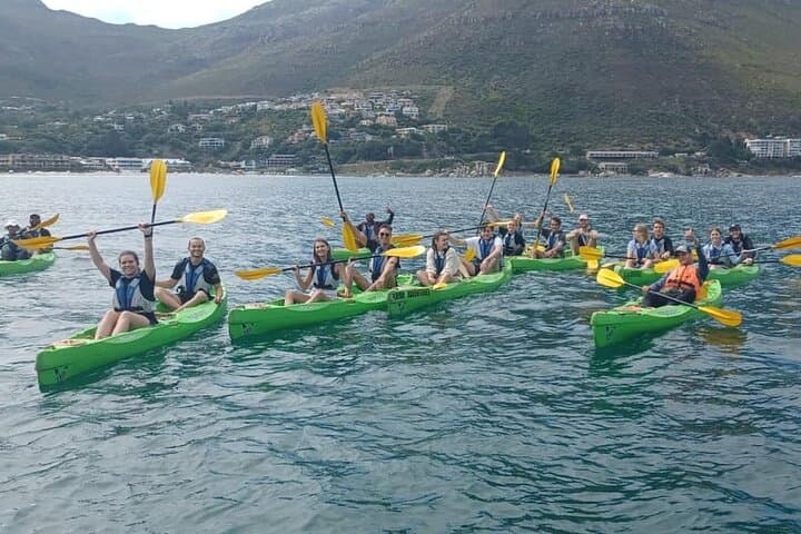 Paddle Hout Bay: Guided Kayak Tour from Cape Town with Seal Encounters photo 4