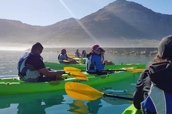 Paddle Hout Bay: Guided Kayak Tour from Cape Town with Seal Encounters photo 5