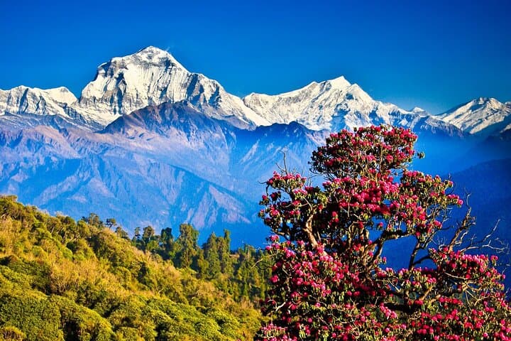 10-Day Private Nepal: Kathmandu, Pokhara & Poon Hill Trek