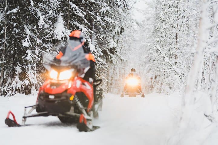 Rovaniemi Snowmobile Safari — Adults-Only Arctic Ride Across Frozen Forests photo 3