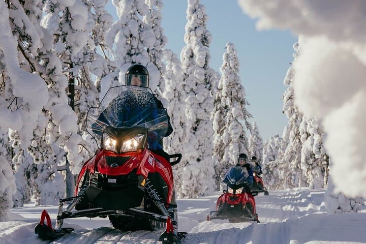 Rovaniemi Snowmobile Safari — Adults-Only Arctic Ride Across Frozen Forests