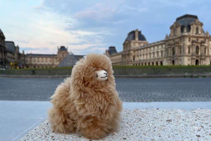 Private Paris Night Sightseeing Tour — Illuminated Monuments & Seine Views