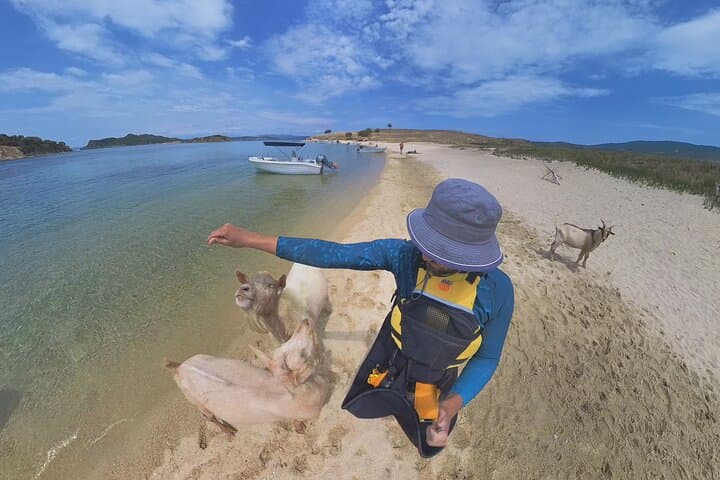 Sea Kayaking to Drenia Islands: Day Trip from Uranopolis photo 2