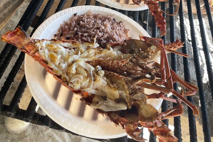 Private Bloody Bay Lobster Lunch and Snorkel at Boobie Cay, Negril photo 6