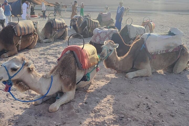 Agafay Half-Day: Camel Ride, Quad Biking & Sunset Dinner from Marrakech photo 6