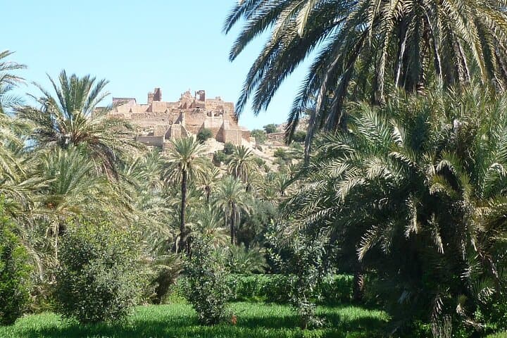 Taroudant & Tiout Day Trip from Agadir: Palm Groves, Kasbah Views & Berber Souks photo 3