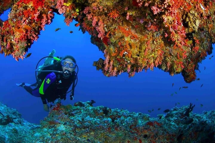 Introductory Scuba Diving at Jumeirah Beach Dubai with Private Transfers photo 6