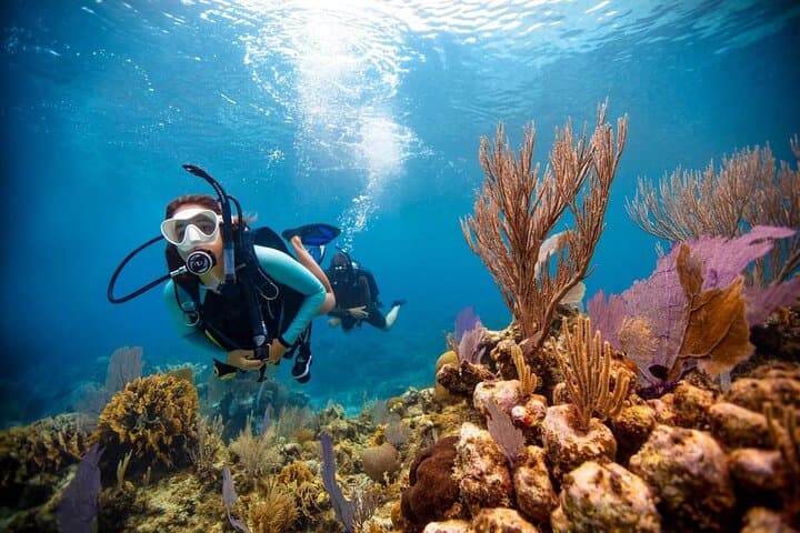 Introductory Scuba Diving at Jumeirah Beach Dubai with Private Transfers photo 2