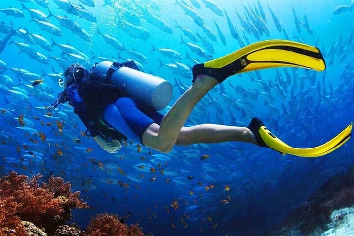 Introductory Scuba Diving at Jumeirah Beach Dubai with Private Transfers photo 5
