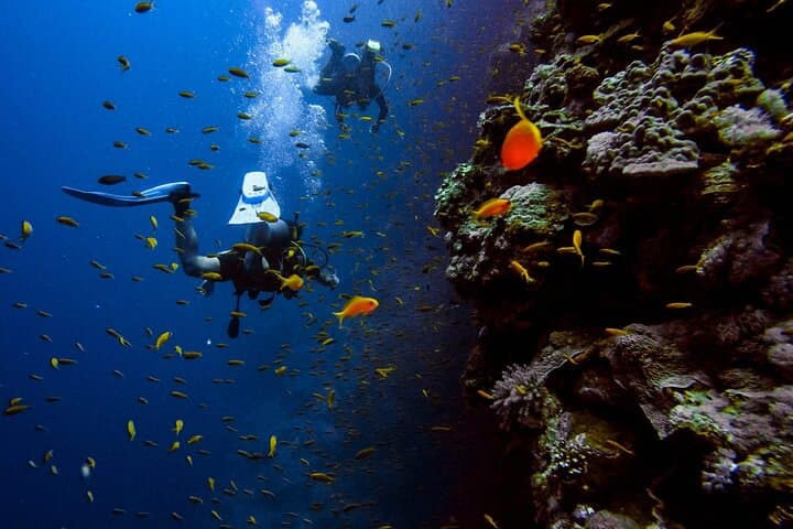 Introductory Scuba Diving at Jumeirah Beach Dubai with Private Transfers photo 3