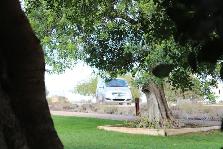 Algarve Private Tour: Silves, Monchique Springs & Sagres Coastal Forts Day Trip