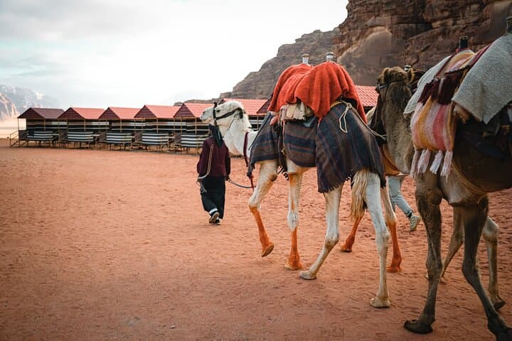 2-Day Jordan Guided Tour: Petra, Wadi Rum & Dead Sea Adventure photo 3
