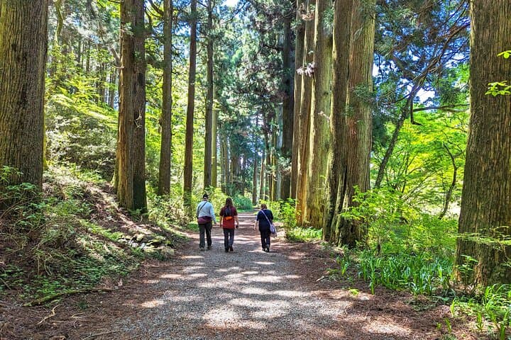 Hakone Private Day Tour: Mt. Fuji Views, Lake Ashi Cruise, Owakudani & Onsen photo 4