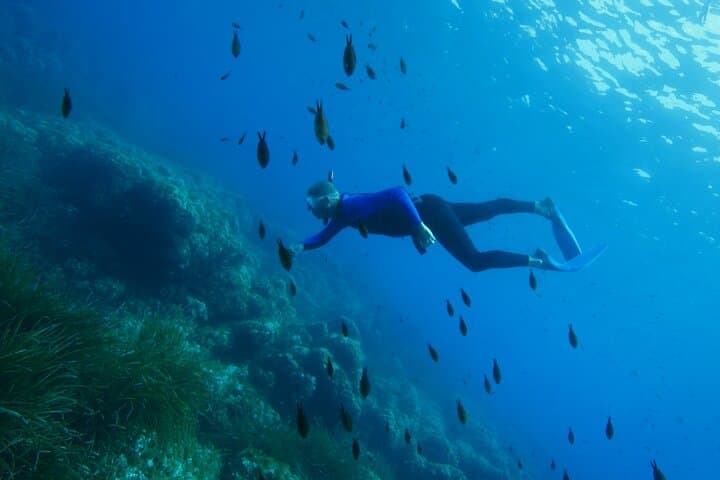 Boat Trip & Guided Snorkeling in Villefranche-sur-Mer from Nice — Marine Life and Shallow Reefs photo 5