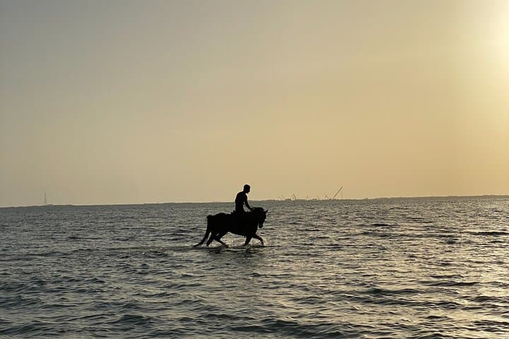 Sunset Horseback Ride on Dahban Beach — Private Red Sea Experience photo 2