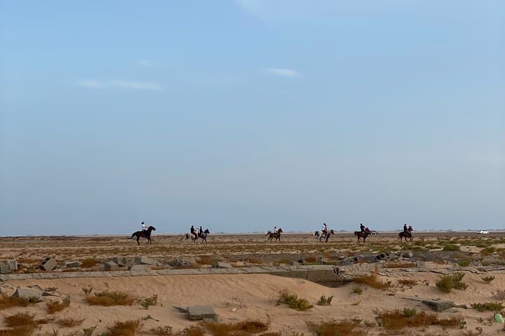 Sunset Horseback Ride on Dahban Beach — Private Red Sea Experience photo 3